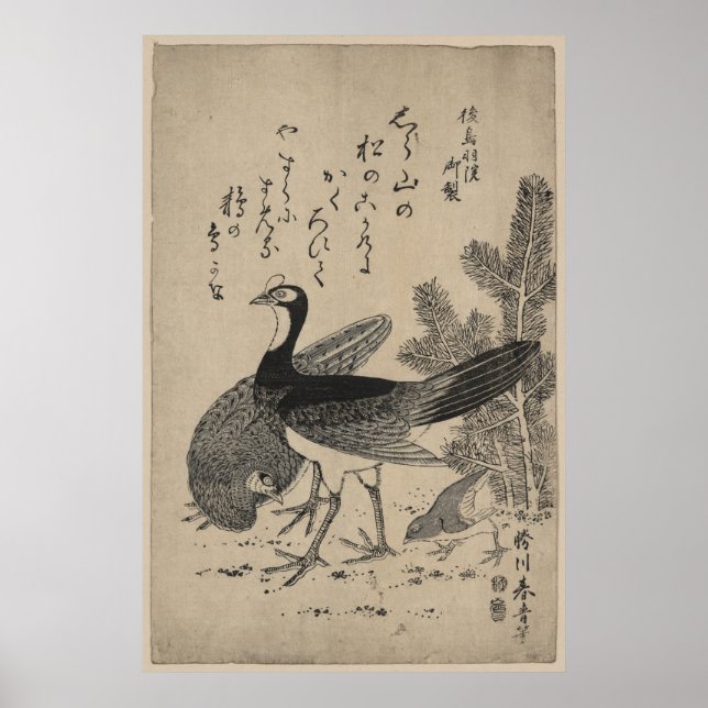 Poster Wildfowl e Pine (Frente)