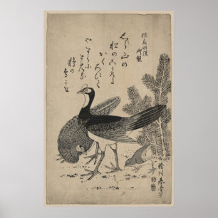 Poster Wildfowl e pinho