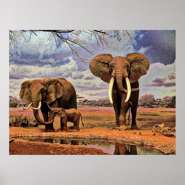 Pôster Wildlife 2 (Frente)