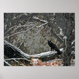 Pôster Wildlife 8 cmyk