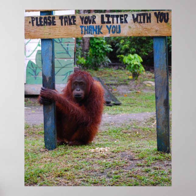 Pôster Wildlife Conservation/Litter and Trash (Frente)