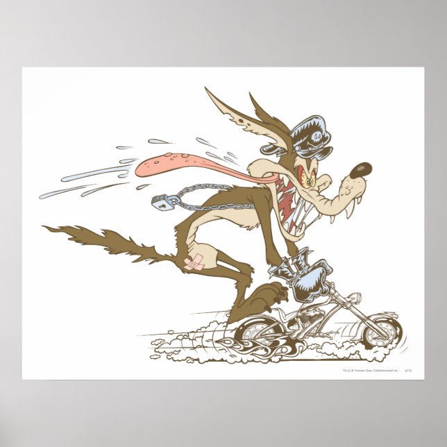 Pôster Wile E. Coyote Cycle Racer (Frente)