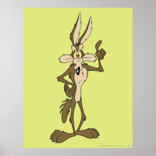 Pôster Wile E. Coyote de altura em pé
