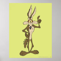 Wile E. Coyote Em Sentido