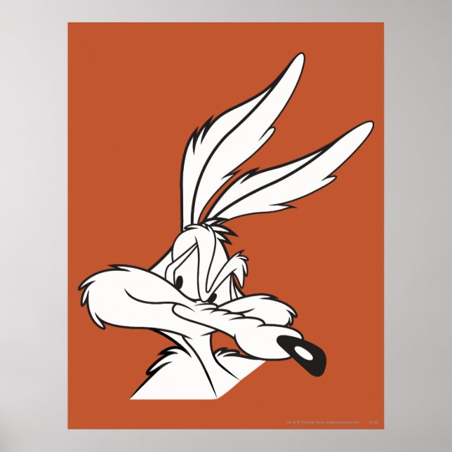 Poster Wile E. Coyote Looking sneaky (Frente)