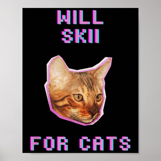 Poster Will Skiing For Cats Funny Winter Snow Adventure  (Frente)