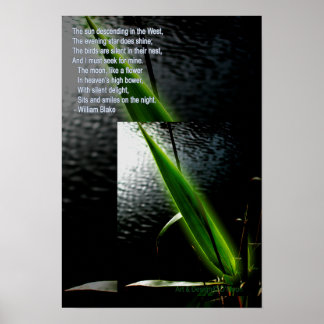 Poster William Blake, poema de "prazer silencioso", cita