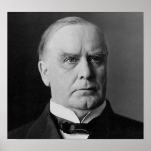 Pôster William Mckinley