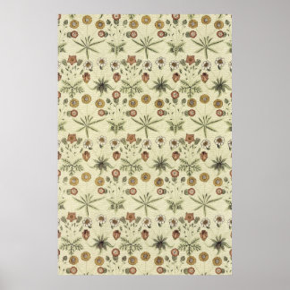 Pôster William Morris