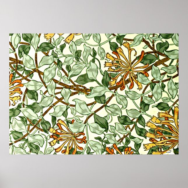 Pôster William Morris - Honeysuckle em verde e Dourado (Frente)