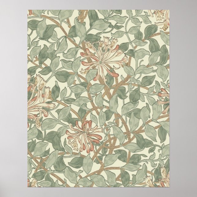 Pôster William Morris Honeysuckle Flower Wallpaper (Frente)