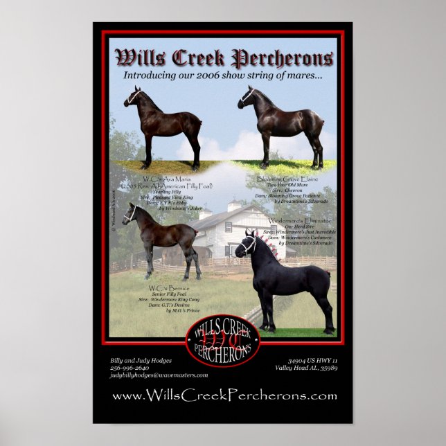 POSTER WILLS CREEK PERCHERONS 2006 MOSTRA STRING (Frente)