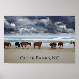 Poster Wills Horses Corolla Outer Banks NC