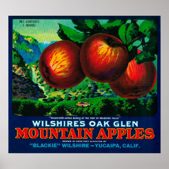 Poster Wilshire's Oak Glen Apple Crate Label (Frente)
