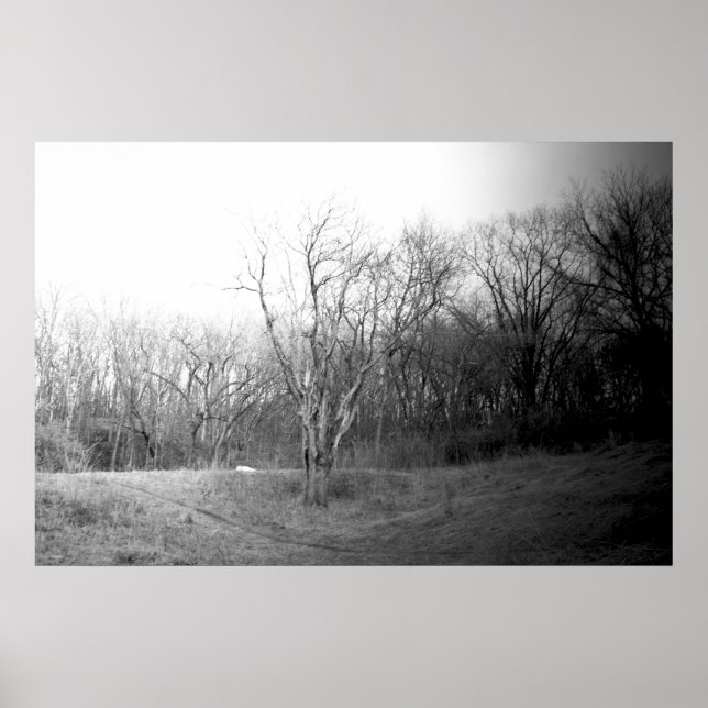 Pôster Wind de inverno (Frente)