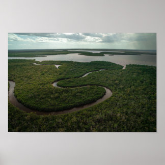 Poster Winding Everglades