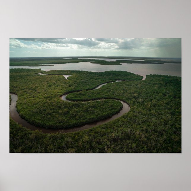 Poster Winding Everglades (Frente)