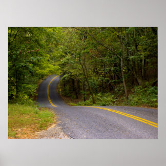 Pôster Winding Road