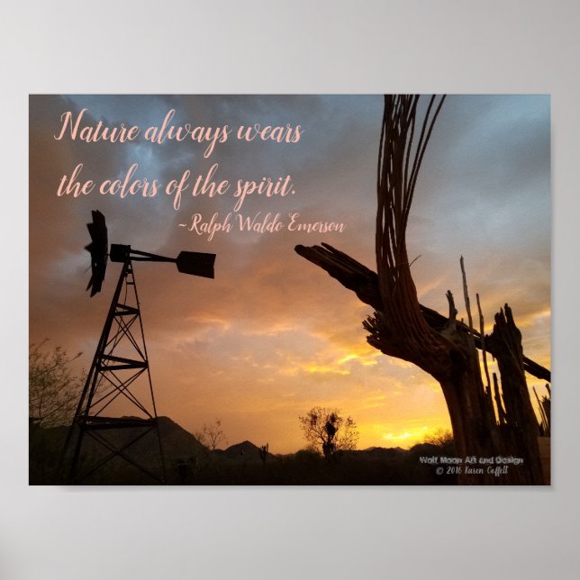 Poster Windmill Saguaro Cactus Skeleton Arizona Sunset (Frente)