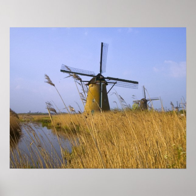 Poster Windmills along the canal in Kinderdijk, 2 (Frente)