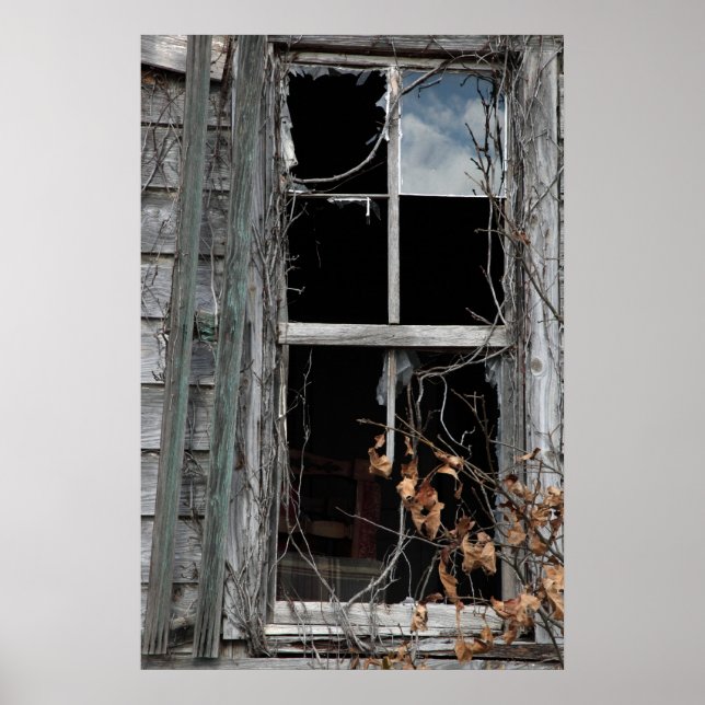 Pôster Window (Frente)