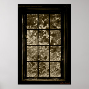 Poster Window Ivy Sepia, Jeffrey Sinnock