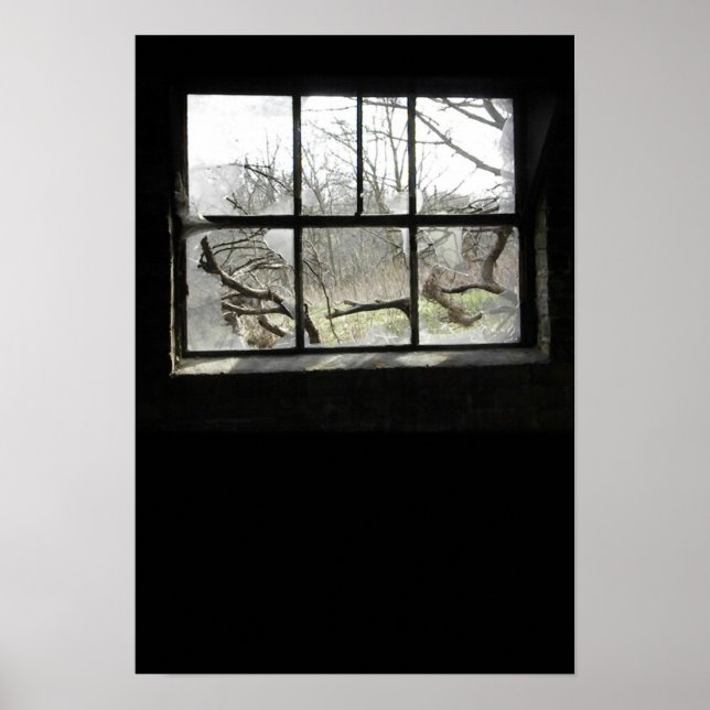 Pôster Window Watchin (Frente)