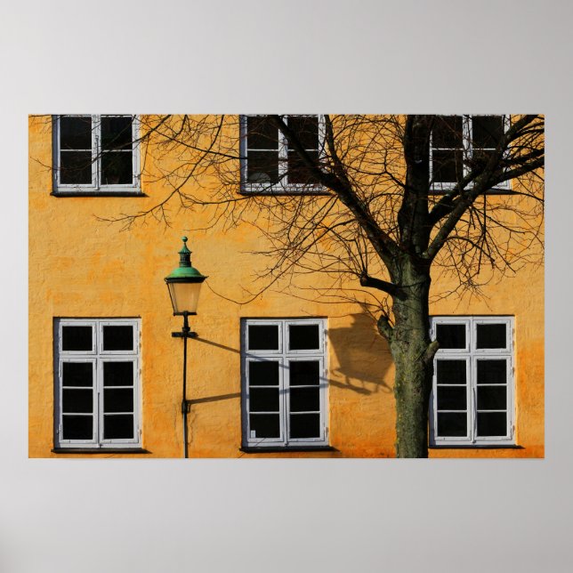 Pôster Windows (Frente)