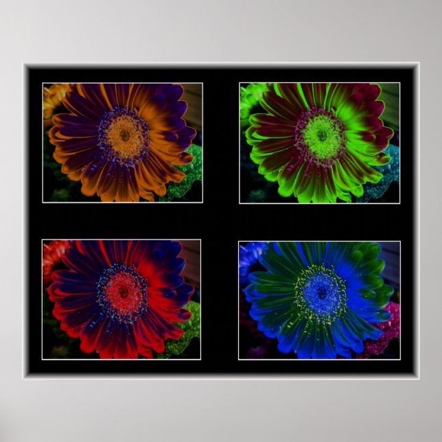 Pôster Windows Floral (Frente)