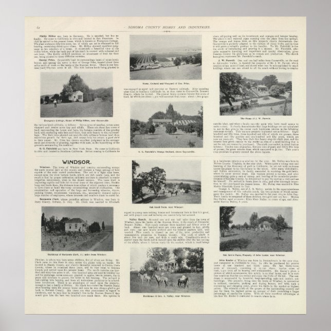 Poster Windsor, Califórnia (Frente)