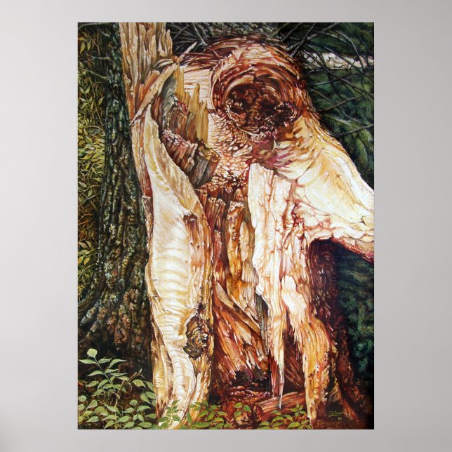 POSTER WINFALL (Frente)