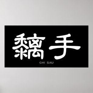 Poster Wing Chun Chi Sau White Calliografia Chinesa