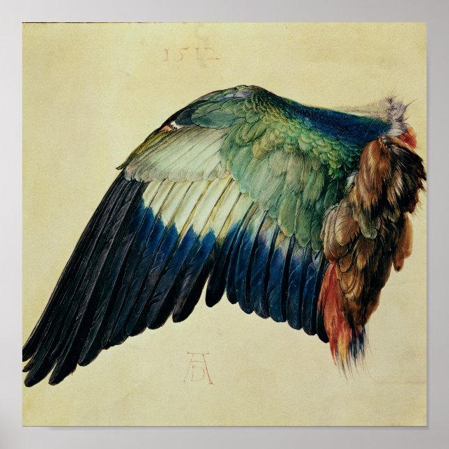 Pôster Wing of a Blue Roller, 1512 (Frente)