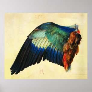 Poster WING OF AN EUROPEAN ROLLER Durer