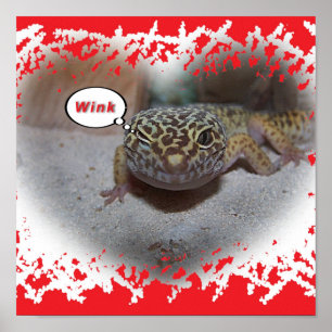 Poster Winking Leopard Gecko Lizard