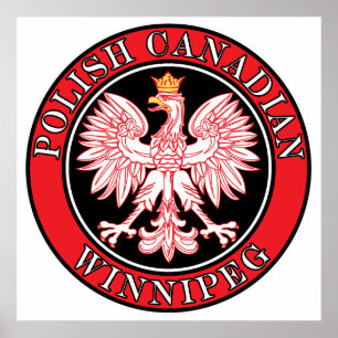 Pôster Winnipeg Polska Eagle Polonês
