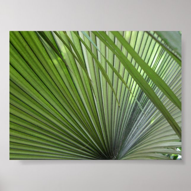 Pôster "Winnow" (Frente)