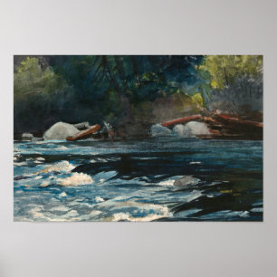 Poster Winslow Homer - Os Rapids, Rio Hudson
