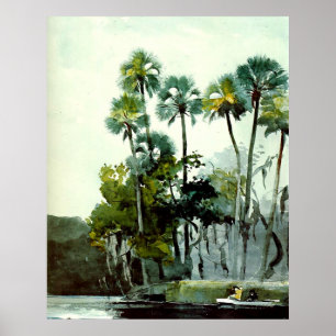 Poster Winslow Homer - Rio Homosassa