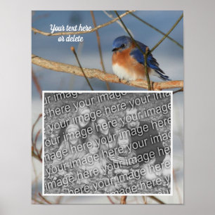 Poster Winter Bluebird Personalizado Crie sua própria fot