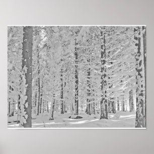 Poster winter forest