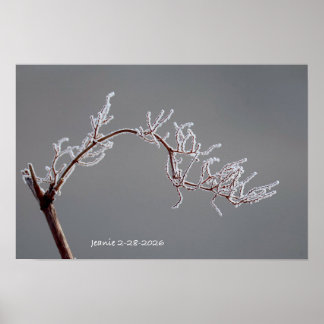 Poster Winter Frosted branch