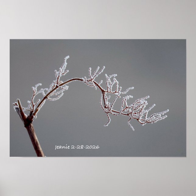 Poster Winter Frosted branch (Frente)