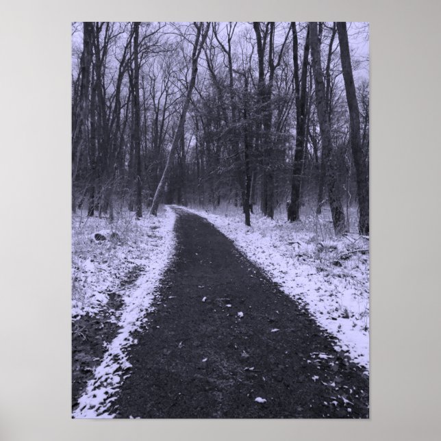 Poster Winter Hike (Frente)