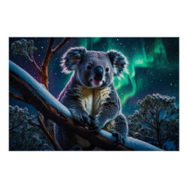 Pôster Winter Koala e Southern Lights