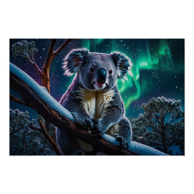 Pôster Winter Koala e Southern Lights (Frente)