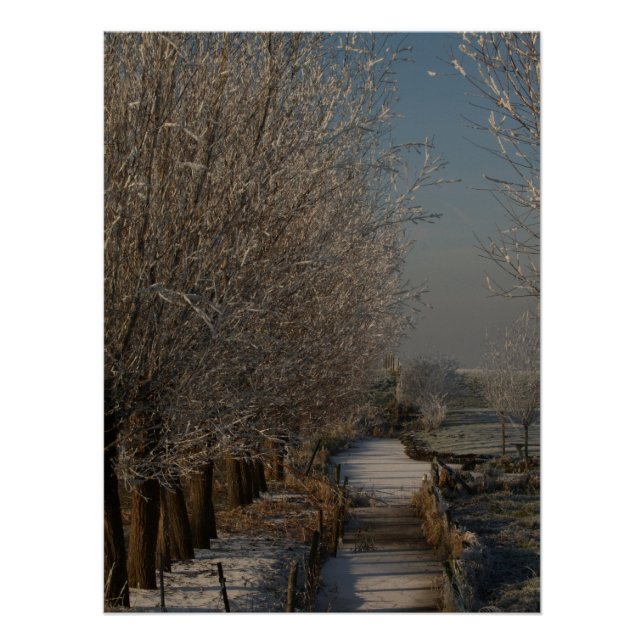 Pôster Winter landscape  (Frente)