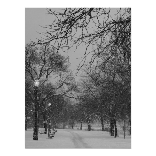 Pôster Winter Path (Frente)