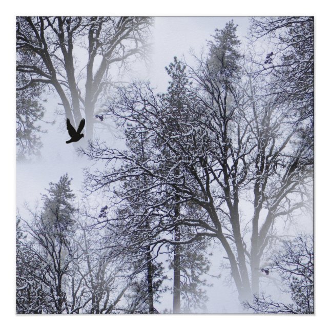 Pôster Winter Raven... (Frente)