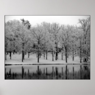 Pôster Winter Reflections